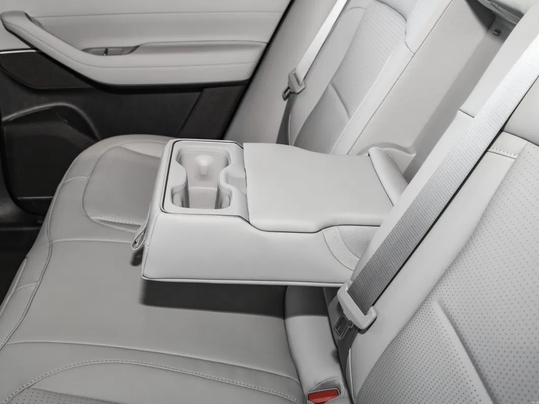 Όλο ηλεκτρικό 2024 Nio SUV ES6 75kwh EV αυτοκίνητο υψηλής ταχύτητας νέο ενεργειακό όχημα 9